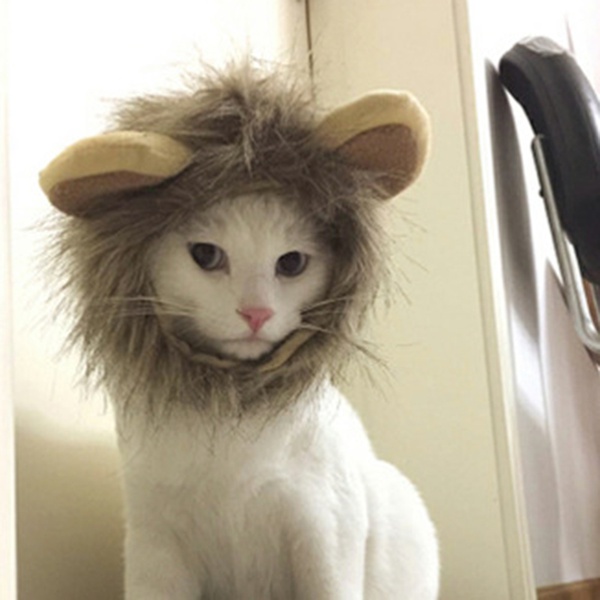 Lion head fake ears transformed into new pet funny hat